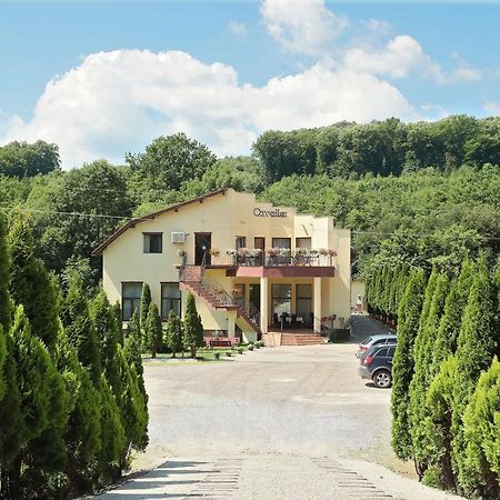 Pensiunea Cavaler Băile Felix Exterior foto