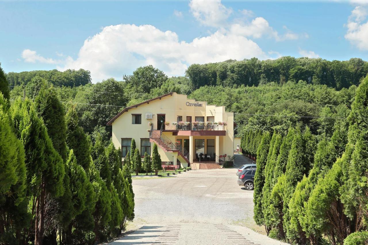 Pensiunea Cavaler Băile Felix Exterior foto